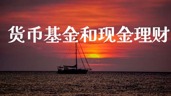 货币基金和现金理财_https://www.kuaijiepai.net_投资理财_第1张