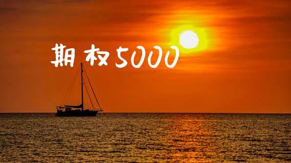 期权5000_https://www.kuaijiepai.net_期货资讯_第1张
