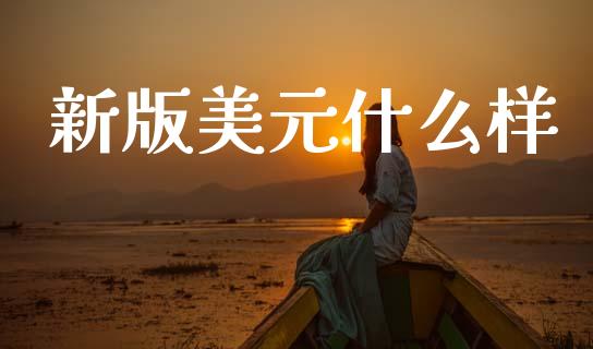 新版美元什么样_https://www.kuaijiepai.net_投资理财_第1张