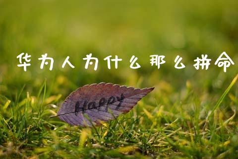 华为人为什么那么拼命_国际期货_第1张_快捷排财经网 华为人为什么那么拼命_https://www.kuaijiepai.net_国际期货_第1张