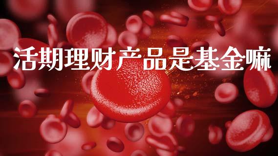 活期理财产品是基金嘛_https://www.kuaijiepai.net_投资理财_第1张