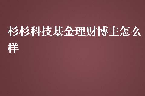 杉杉科技基金理财博主怎么样_https://www.kuaijiepai.net_投资理财_第1张