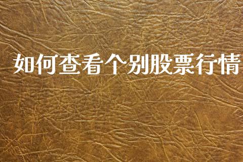 如何查看个别股票行情_https://www.kuaijiepai.net_新股新闻_第1张