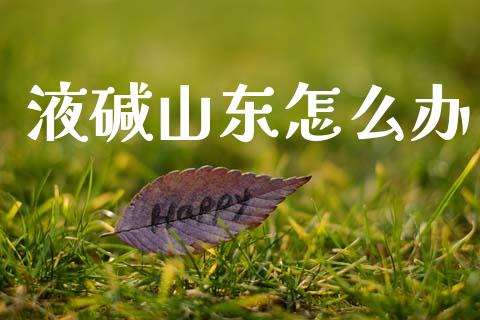液碱山东怎么办_https://www.kuaijiepai.net_国际股建_第1张