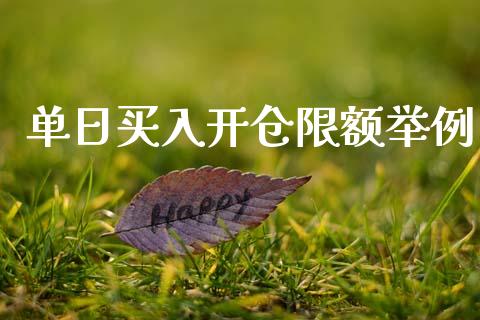 单日买入开仓限额举例_https://www.kuaijiepai.net_国际期货_第1张