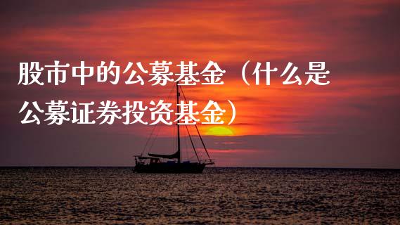 股市中的公募基金（什么是公募证券投资基金）_https://www.kuaijiepai.net_期货理财_第1张