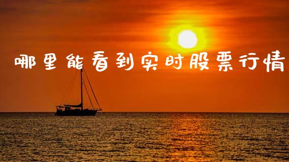哪里能看到实时股票行情_https://www.kuaijiepai.net_国际股建_第1张