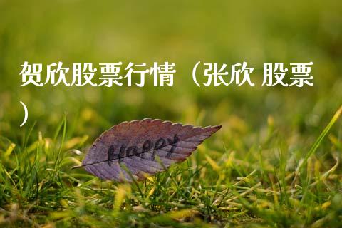 贺欣股票行情（张欣 股票）_https://www.kuaijiepai.net_股票理论_第1张