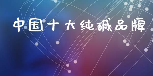 中国十大纯碱品牌_https://www.kuaijiepai.net_国际期货_第1张