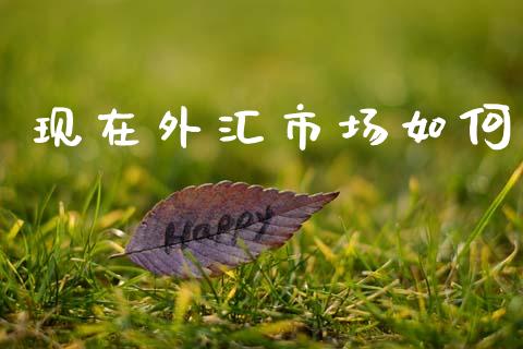 现在外汇市场如何_https://www.kuaijiepai.net_股票理论_第1张