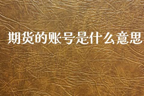 期货的账号是什么意思_https://www.kuaijiepai.net_期货理财_第1张