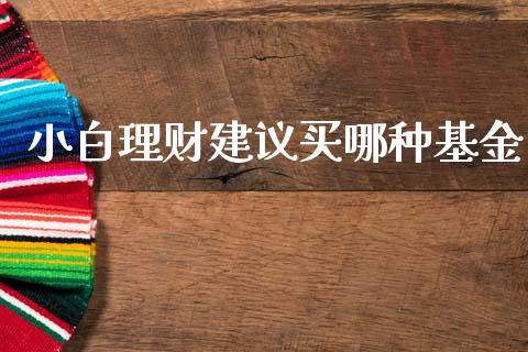 小白理财建议买哪种基金_https://www.kuaijiepai.net_期货理财_第1张
