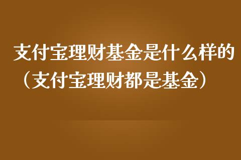 支付宝理财基金是什么样的（支付宝理财都是基金）_https://www.kuaijiepai.net_投资理财_第1张