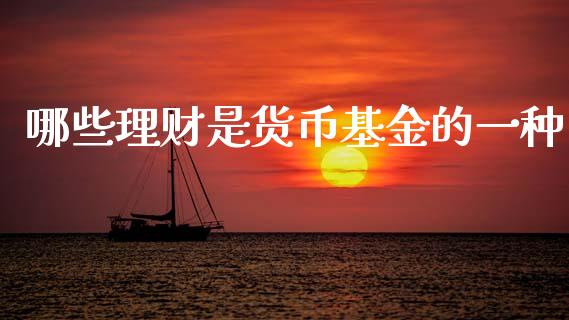 哪些理财是货币基金的一种_https://www.kuaijiepai.net_期货理财_第1张
