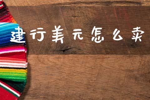 建行美元怎么卖_https://www.kuaijiepai.net_股票理论_第1张