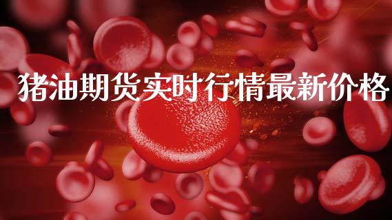 猪油期货实时行情最新价格_https://www.kuaijiepai.net_期货资讯_第1张