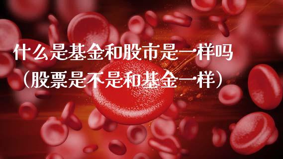 什么是基金和股市是一样吗（股票是不是和基金一样）_https://www.kuaijiepai.net_投资理财_第1张