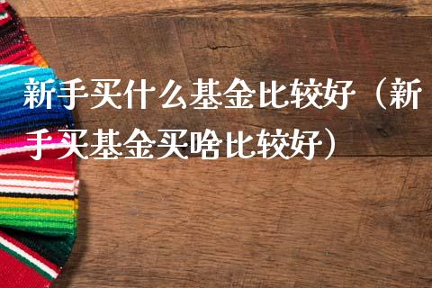 新手买什么基金比较好（新手买基金买啥比较好）_https://www.kuaijiepai.net_期货理财_第1张