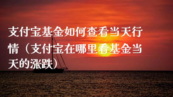 支付宝基金如何查看当天行情（支付宝在哪里看基金当天的涨跌）_https://www.kuaijiepai.net_投资理财_第1张