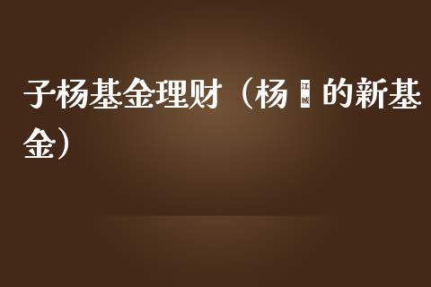 子杨基金理财（杨瑨的新基金）_https://www.kuaijiepai.net_投资理财_第1张