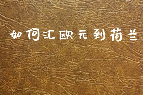 如何汇欧元到荷兰_https://www.kuaijiepai.net_期货理财_第1张