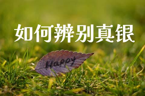 如何辨别真银_https://www.kuaijiepai.net_新股新闻_第1张