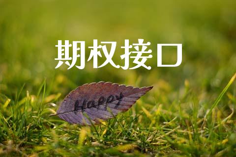 期权接口_https://www.kuaijiepai.net_国际股建_第1张