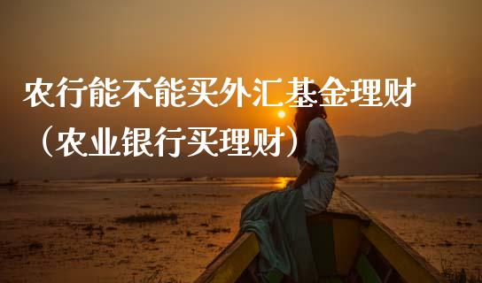 农行能不能买外汇基金理财（农业银行买理财）_https://www.kuaijiepai.net_期货理财_第1张