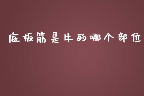 底板筋是牛的哪个部位_https://www.kuaijiepai.net_期货资讯_第1张