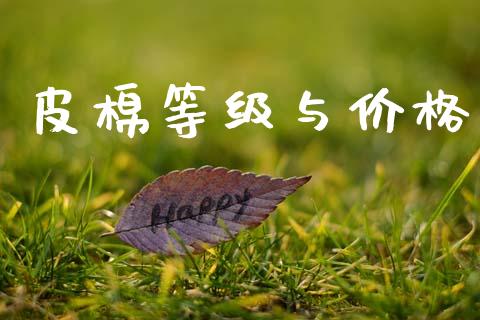 皮棉等级与价格_https://www.kuaijiepai.net_国际期货_第1张