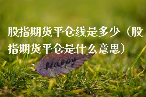 股指期货平仓线是多少（股指期货平仓是什么意思）_https://www.kuaijiepai.net_期货资讯_第1张