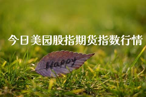 今日美园股指期货指数行情_https://www.kuaijiepai.net_期货在线_第1张