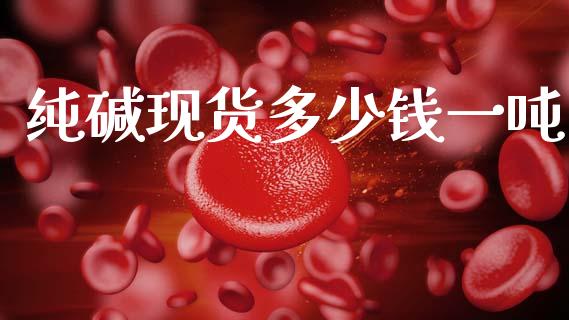纯碱现货多少钱一吨_https://www.kuaijiepai.net_国际期货_第1张