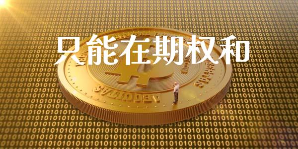 只能在期权和_https://www.kuaijiepai.net_期货理财_第1张
