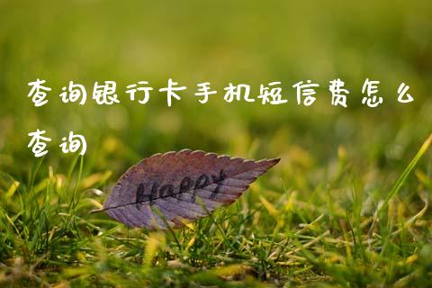 查询银行卡手机短信费怎么查询_https://www.kuaijiepai.net_股票理论_第1张