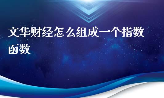 文华财经怎么组成一个指数函数_https://www.kuaijiepai.net_股票理论_第1张