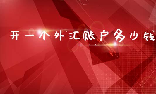 开一个外汇账户多少钱_https://www.kuaijiepai.net_国际期货_第1张