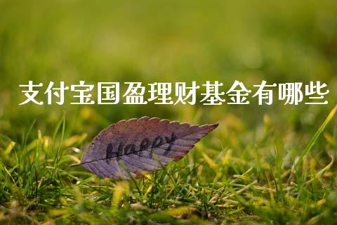 支付宝国盈理财基金有哪些_https://www.kuaijiepai.net_投资理财_第1张