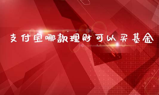 支付宝哪款理财可以买基金_https://www.kuaijiepai.net_投资理财_第1张