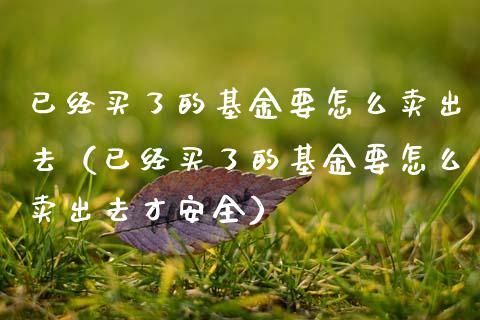 已经买了的基金要怎么卖出去（已经买了的基金要怎么卖出去才安全）_https://www.kuaijiepai.net_投资理财_第1张
