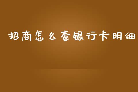 招商怎么查银行卡明细_https://www.kuaijiepai.net_股票理论_第1张