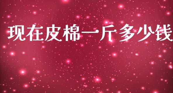 现在皮棉一斤多少钱_https://www.kuaijiepai.net_国际期货_第1张