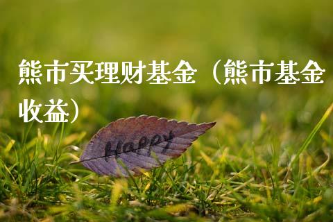 熊市买理财基金（熊市基金收益）_https://www.kuaijiepai.net_投资理财_第1张
