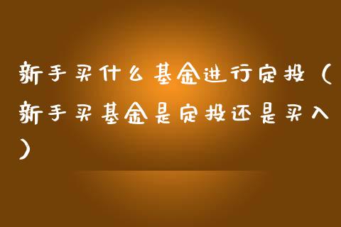 新手买什么基金进行定投（新手买基金是定投还是买入）_https://www.kuaijiepai.net_期货理财_第1张