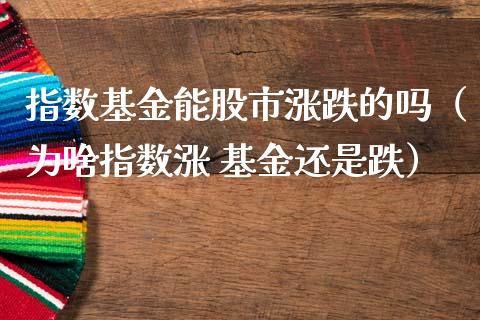 指数基金能股市涨跌的吗（为啥指数涨 基金还是跌）_https://www.kuaijiepai.net_期货理财_第1张