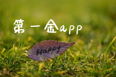 第一金app_https://www.kuaijiepai.net_期货资讯_第1张
