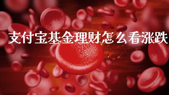 支付宝基金理财怎么看涨跌_https://www.kuaijiepai.net_投资理财_第1张