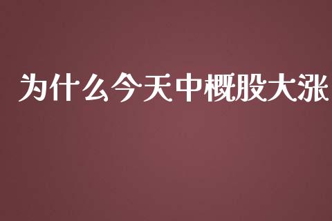 为什么今天中概股大涨_https://www.kuaijiepai.net_国际期货_第1张