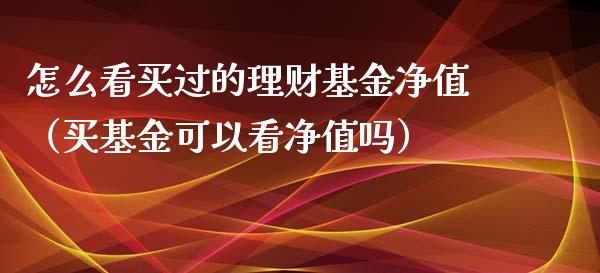怎么看买过的理财基金净值（买基金可以看净值吗）_https://www.kuaijiepai.net_投资理财_第1张