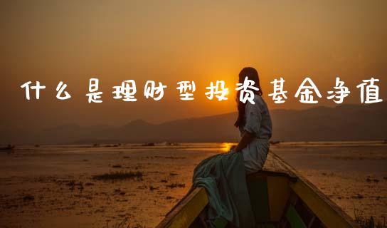 什么是理财型投资基金净值_https://www.kuaijiepai.net_投资理财_第1张